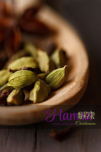 هل اعلا صادراتی حمرا