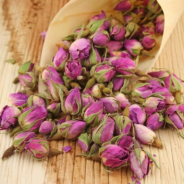 غنچه گل محمدی قمصر صادراتی حمرا